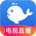 年买小米还是买特斯拉